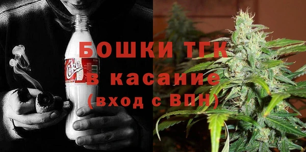 шишки Баксан