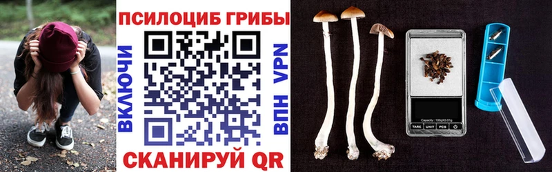 Галлюциногенные грибы мухоморы  Купить  Давлеканово 